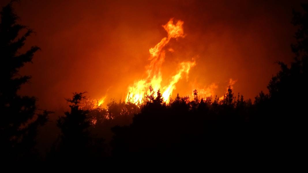 Çanakkale'deki Tarihi Alan'ın güney hattı ziyarete açıldı! Orman yangınında kapatılmıştı 51